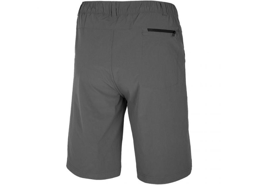 Miesten shortsit 4F M H4L20 SKMF060 23S kuvasuurennos