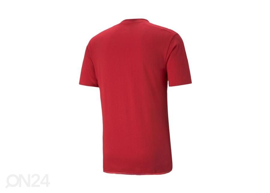 Miesten t-paita Puma teamCUP Casuals kuvasuurennos
