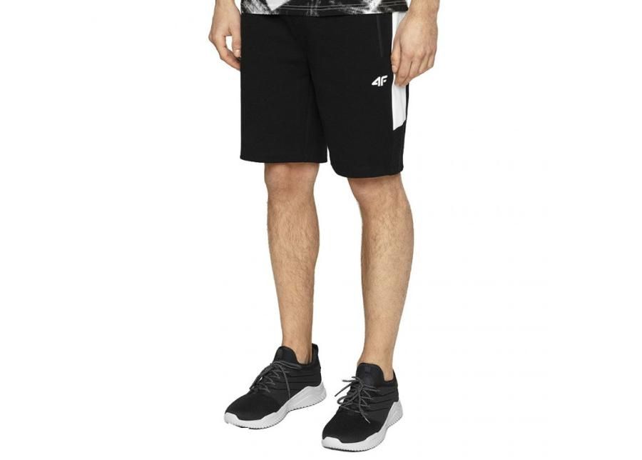 Miesten treenishortsit 4F M H4L20 SKMD002 20S kuvasuurennos