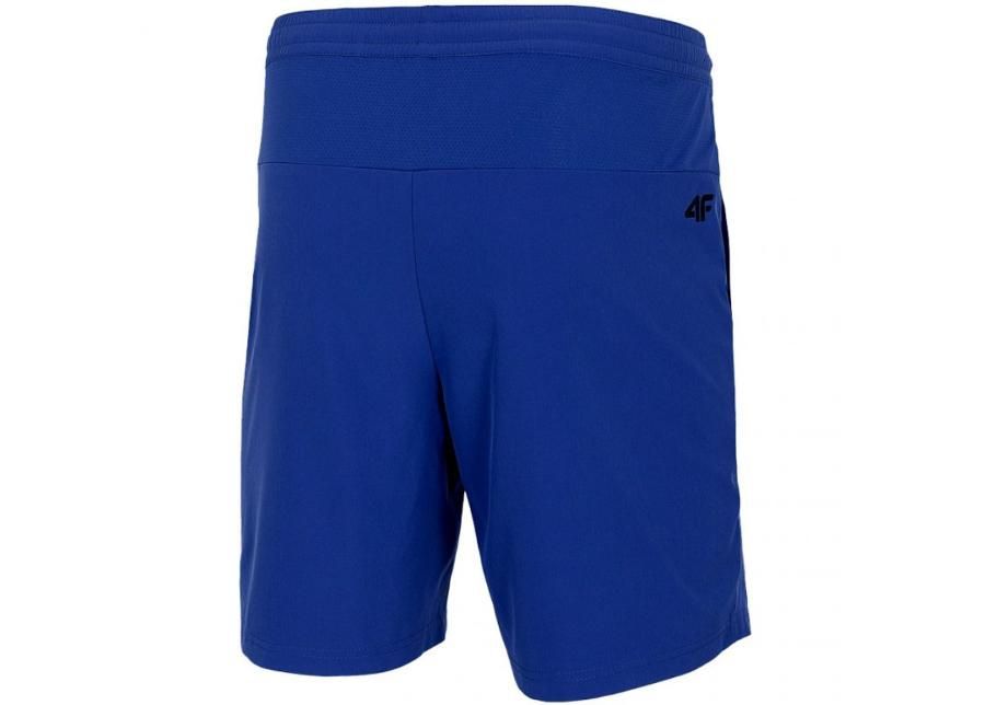 Miesten treenishortsit 4F M NOSH4 SKMF001 36S kuvasuurennos