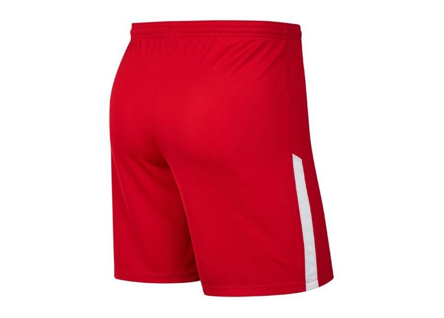 Miesten treenishortsit Nike League Knit II BV6852-657 kuvasuurennos