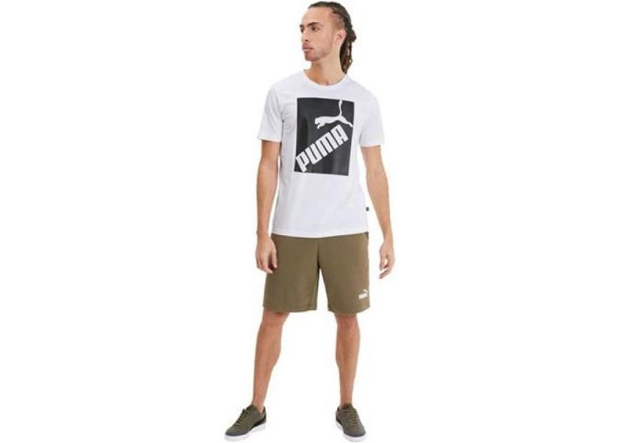 Miesten vapaa-ajanpaita Puma Big Logo Tee M 581386 02 kuvasuurennos