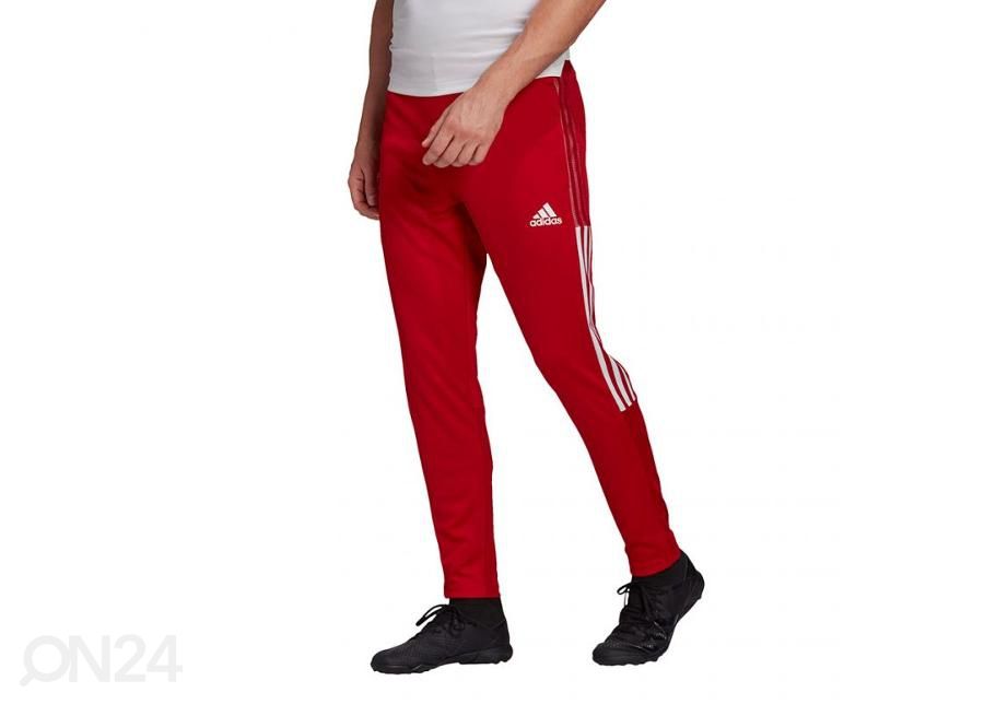 Miesten verryttelyhousut Adidas Tiro 21 Training kuvasuurennos
