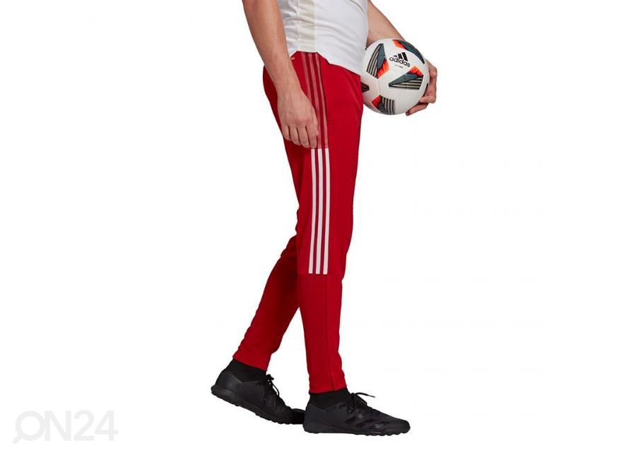 Miesten verryttelyhousut Adidas Tiro 21 Training kuvasuurennos