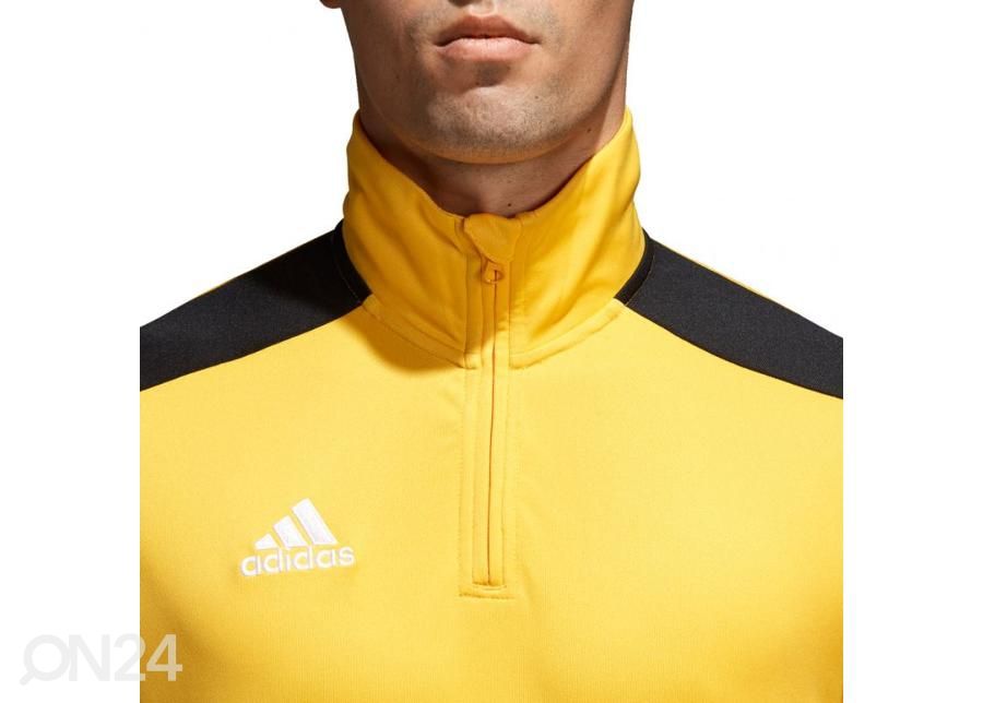 Miesten verryttelypaita adidas Regista 18 Training M CZ8648 kuvasuurennos