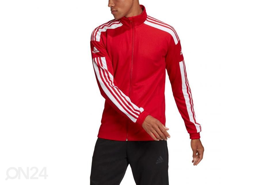 Miesten verryttelytakki Adidas Squadra 21 Training kuvasuurennos