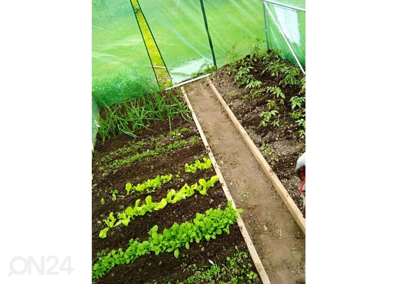 Muovikasvihuone 2x3 m kuvasuurennos