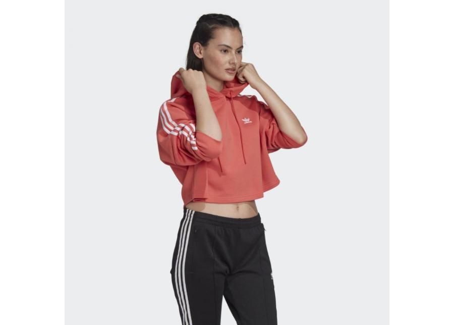 Naisten huppari adidas Originals Cropped Hoodie W FM3274 kuvasuurennos