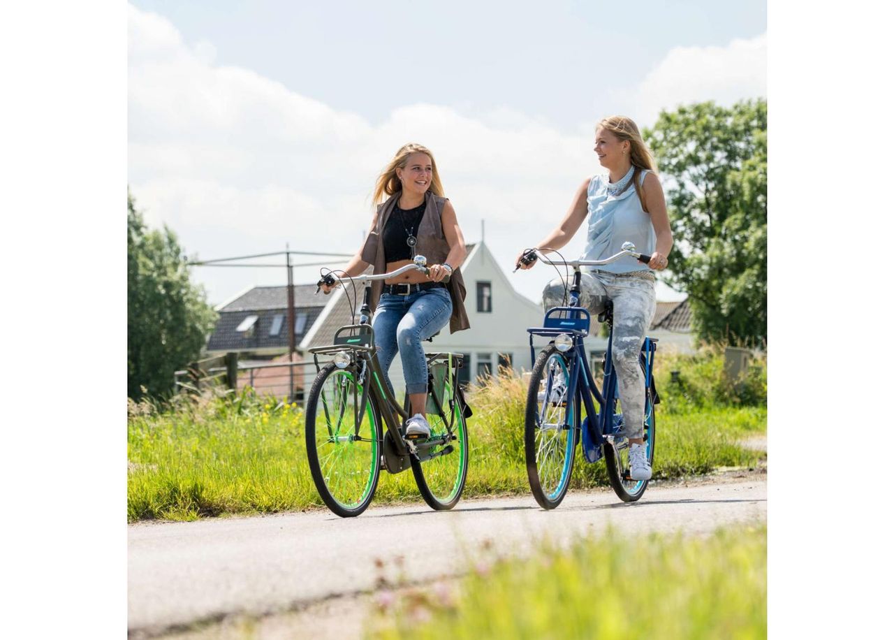 Naisten kaupunkipyörä SALUTONI Dutch 28" kuvasuurennos
