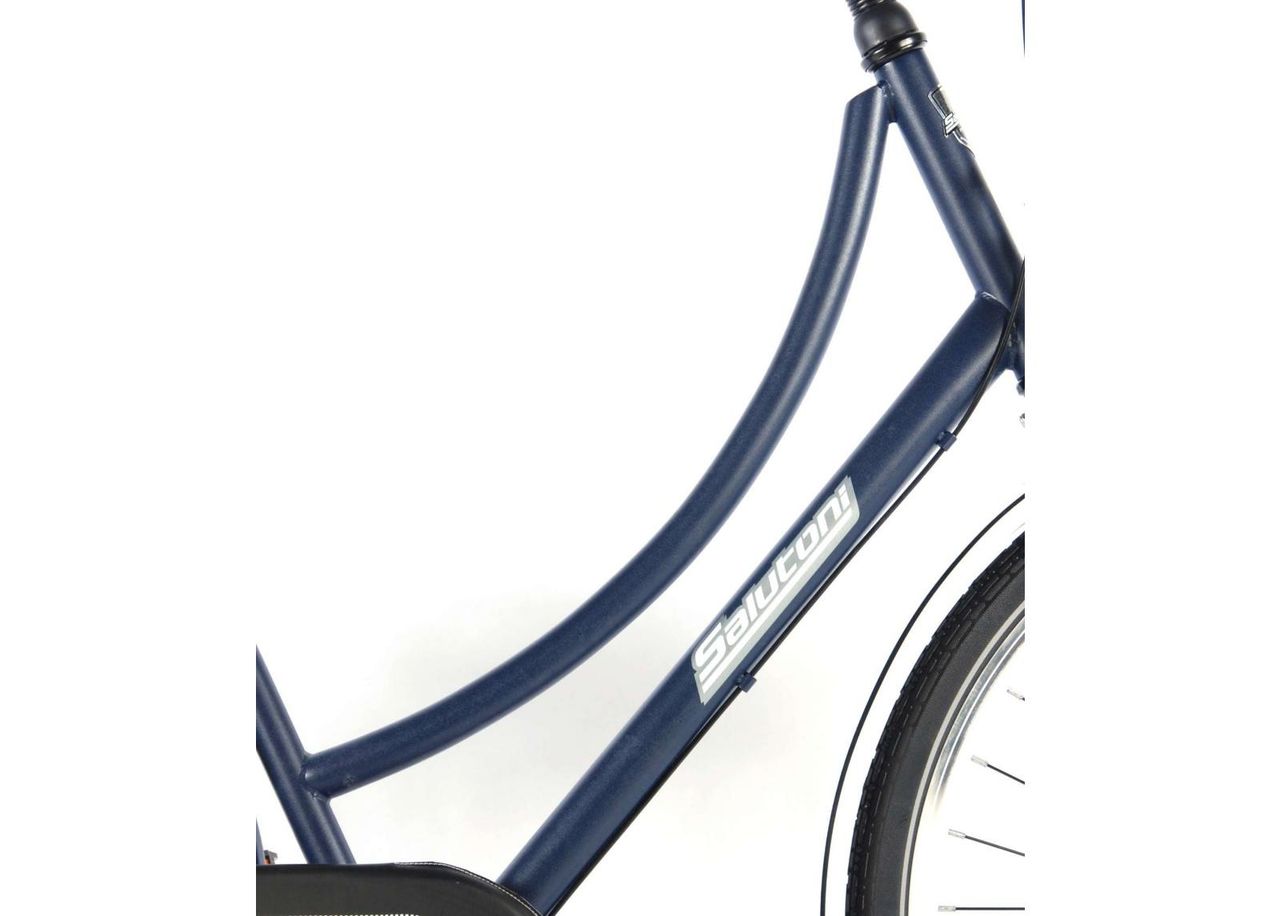Naisten kaupunkipyörä SALUTONI Dutch oma bicycle Glamour 28 tuumaa 56 cm Shimano Nexus 3 vaihdetta kuvasuurennos