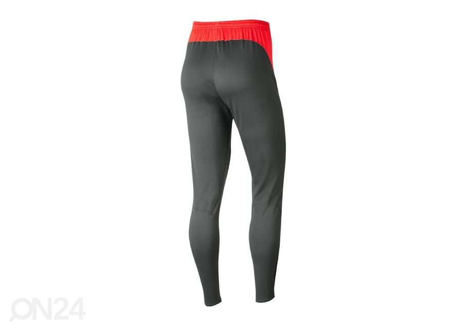 Naisten pitkät treenileggingsit Nike Dry Academy Pro W BV6934-067 kuvasuurennos