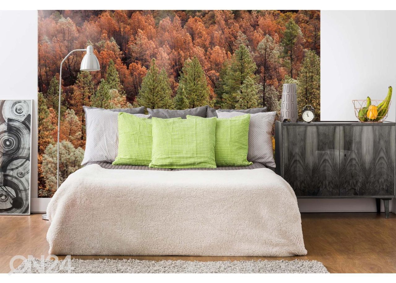 Non-woven kuvatapetti Beautiful Forest kuvasuurennos