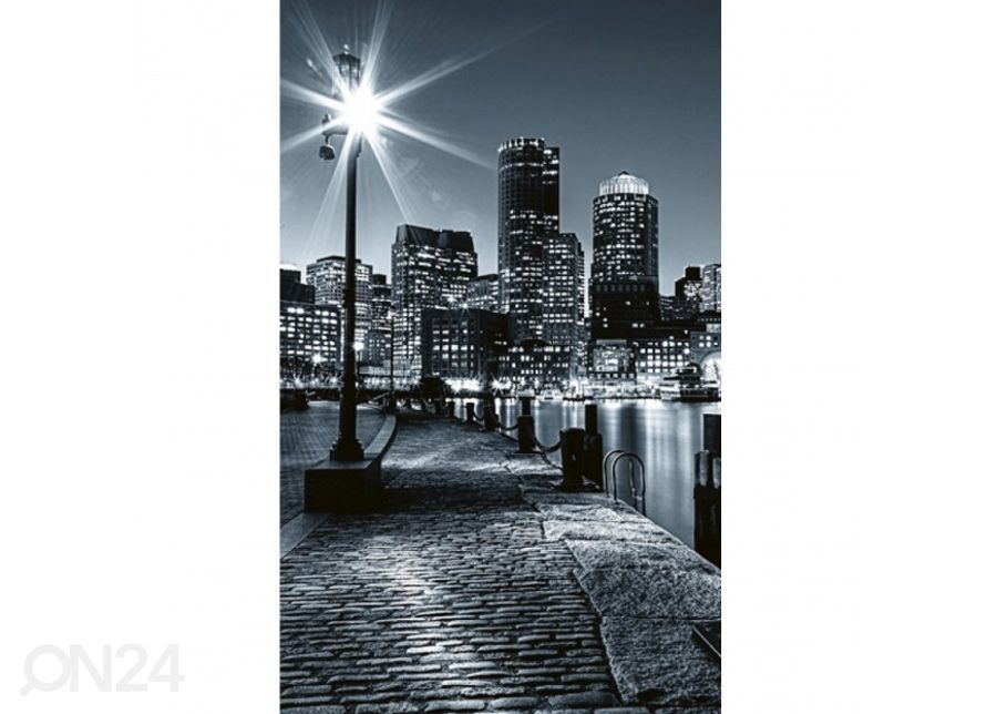 Non-woven kuvatapetti Boston 375x250 cm kuvasuurennos