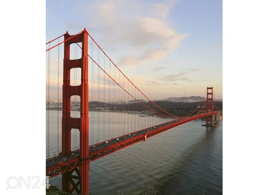 Non-woven kuvatapetti Golden gate 225x250 cm kuvasuurennos