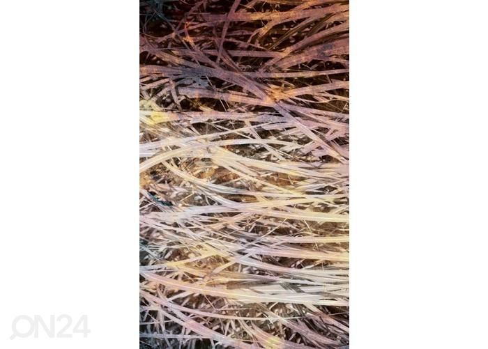 Non-woven kuvatapetti Hay Abstract I 150x250 cm kuvasuurennos