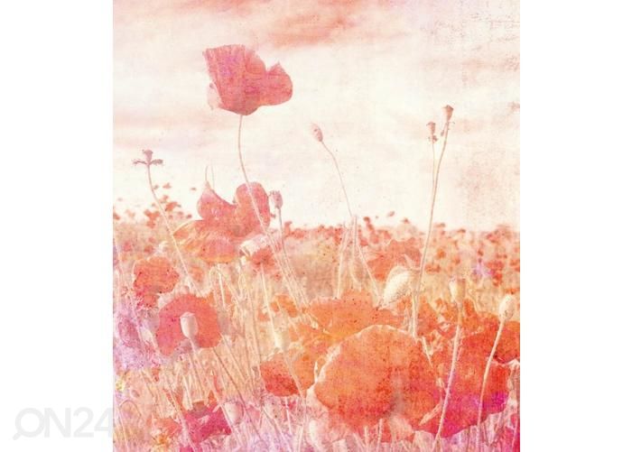 Non-woven kuvatapetti Poppies Abstract 150x250 cm kuvasuurennos