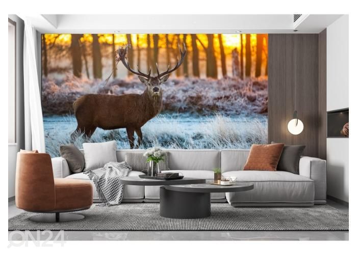 Non-woven kuvatapetti Red Deer in Morning Sun 368x245 cm kuvasuurennos