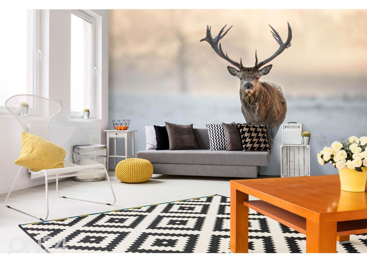 Non-woven kuvatapetti Red Deer Stag kuvasuurennos