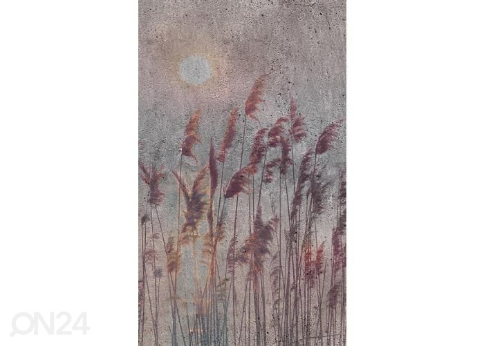 Non-woven kuvatapetti Reed Abstract 150x250 cm kuvasuurennos