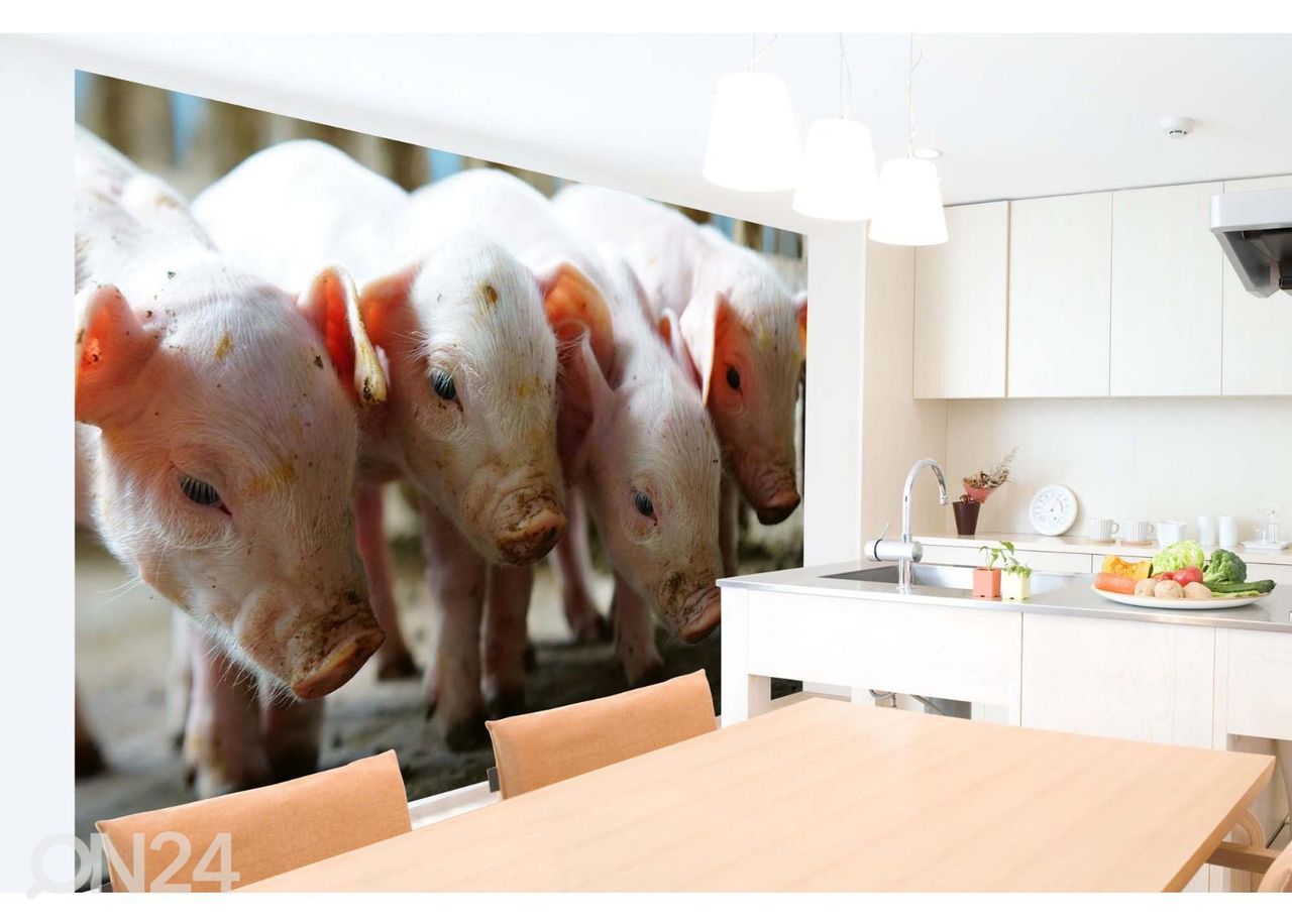 Non-woven kuvatapetti Small Pigs In The Farm kuvasuurennos