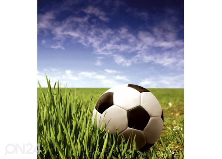 Non-woven kuvatapetti Soccer ball 150x250 cm kuvasuurennos