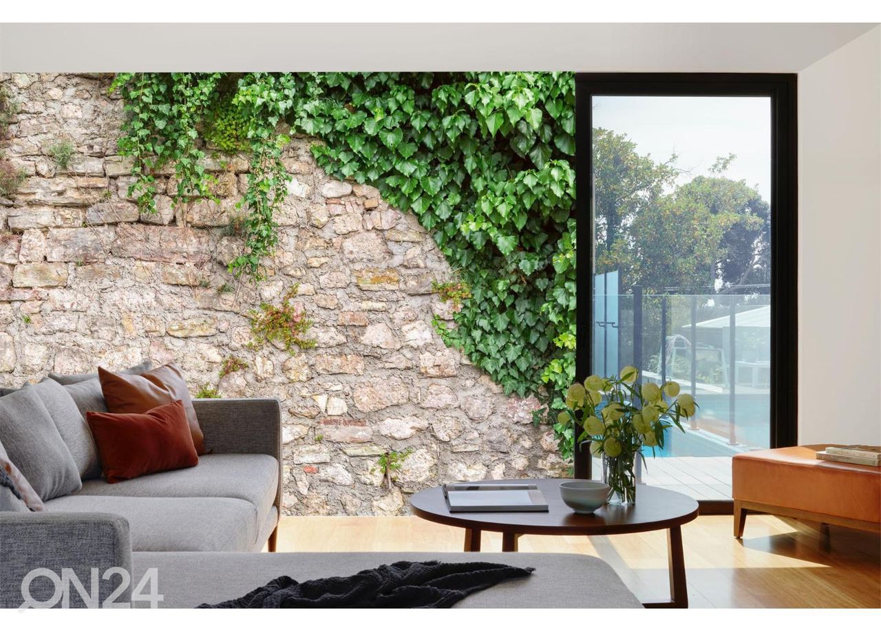 Non-woven kuvatapetti Stone Wall With Leaves kuvasuurennos