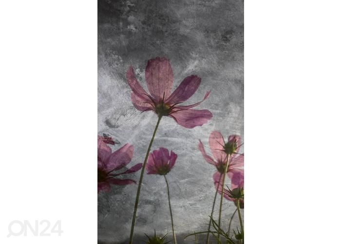 Non-woven kuvatapetti Violet Flower Abstract 150x250 cm kuvasuurennos
