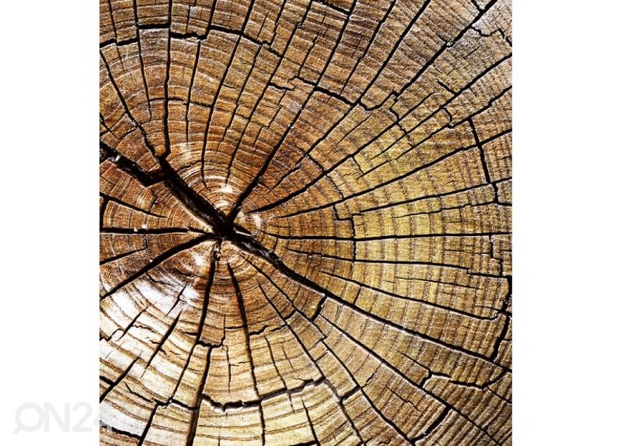 Non-woven kuvatapetti Wood 375x250 cm kuvasuurennos