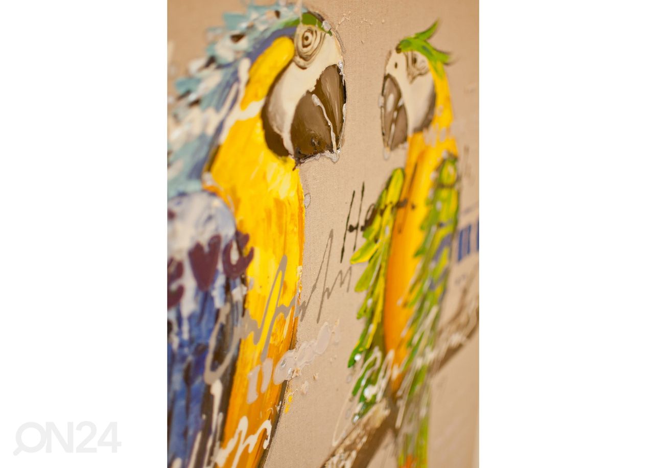 Öljymaalaus Papukaijat 80x80 cm kuvasuurennos