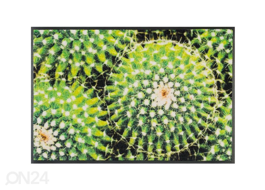 Ovimatto SPINY GREEN 50x75 cm kuvasuurennos