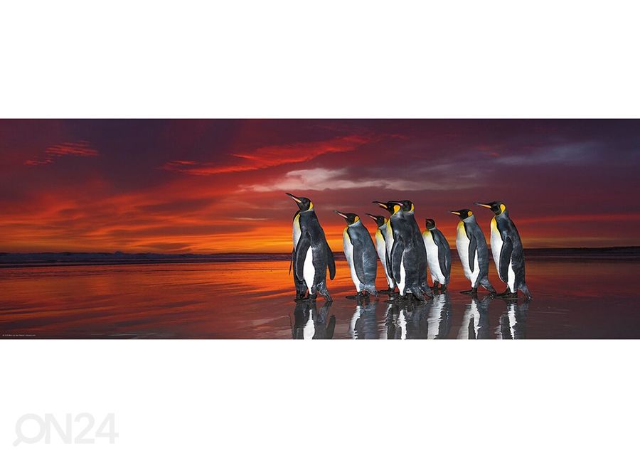 Palapeli King Penguins 1000 osaa kuvasuurennos