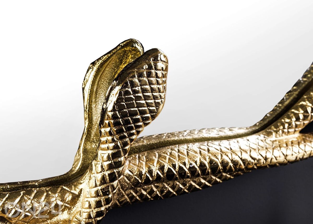 Peili Snake kuvasuurennos