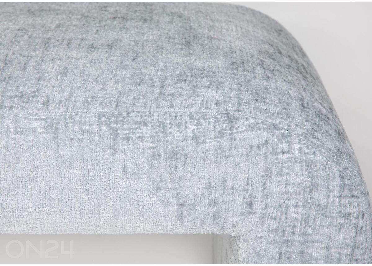 Penkki Leith kuvasuurennos