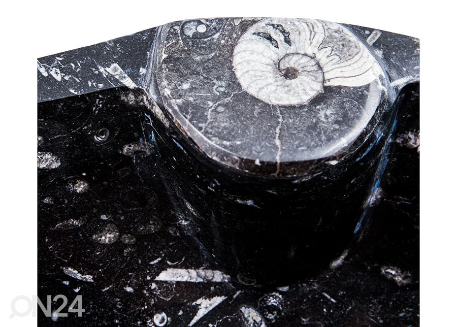 Pesuallas marmoria kuvasuurennos