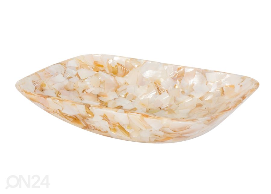 Pesuallas simpukankuorilla kuvasuurennos