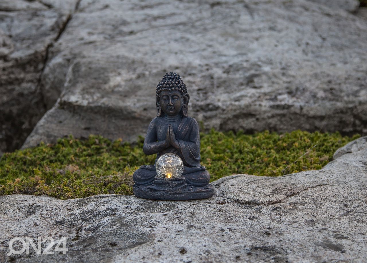 Pihakoriste aurinkokennolla Buddha kuvasuurennos