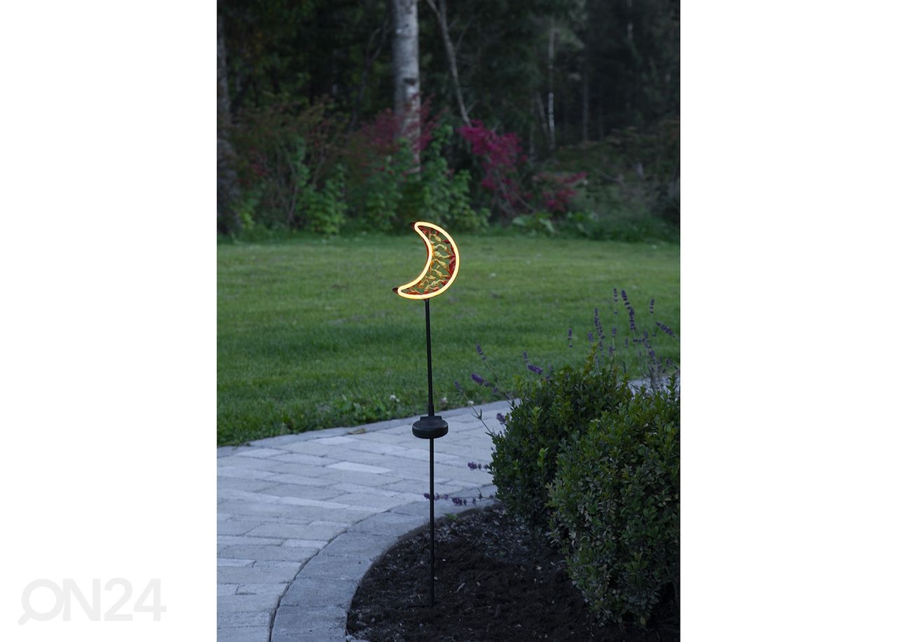 Pihakoriste aurinkokennolla Linny Moon kuvasuurennos