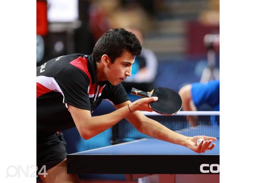 Pöytätennismaila Cornilleau Pilot Pulse Max kuvasuurennos