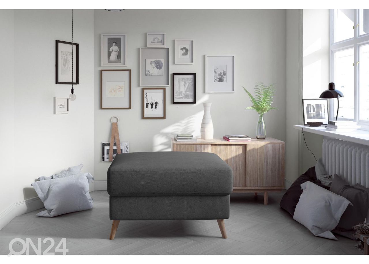 Rahi 73x73 cm kuvasuurennos