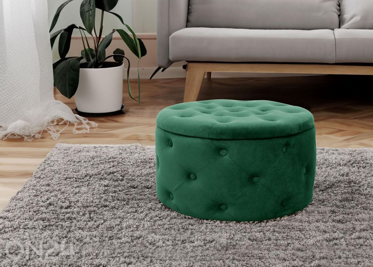 Rahi Alia kuvasuurennos