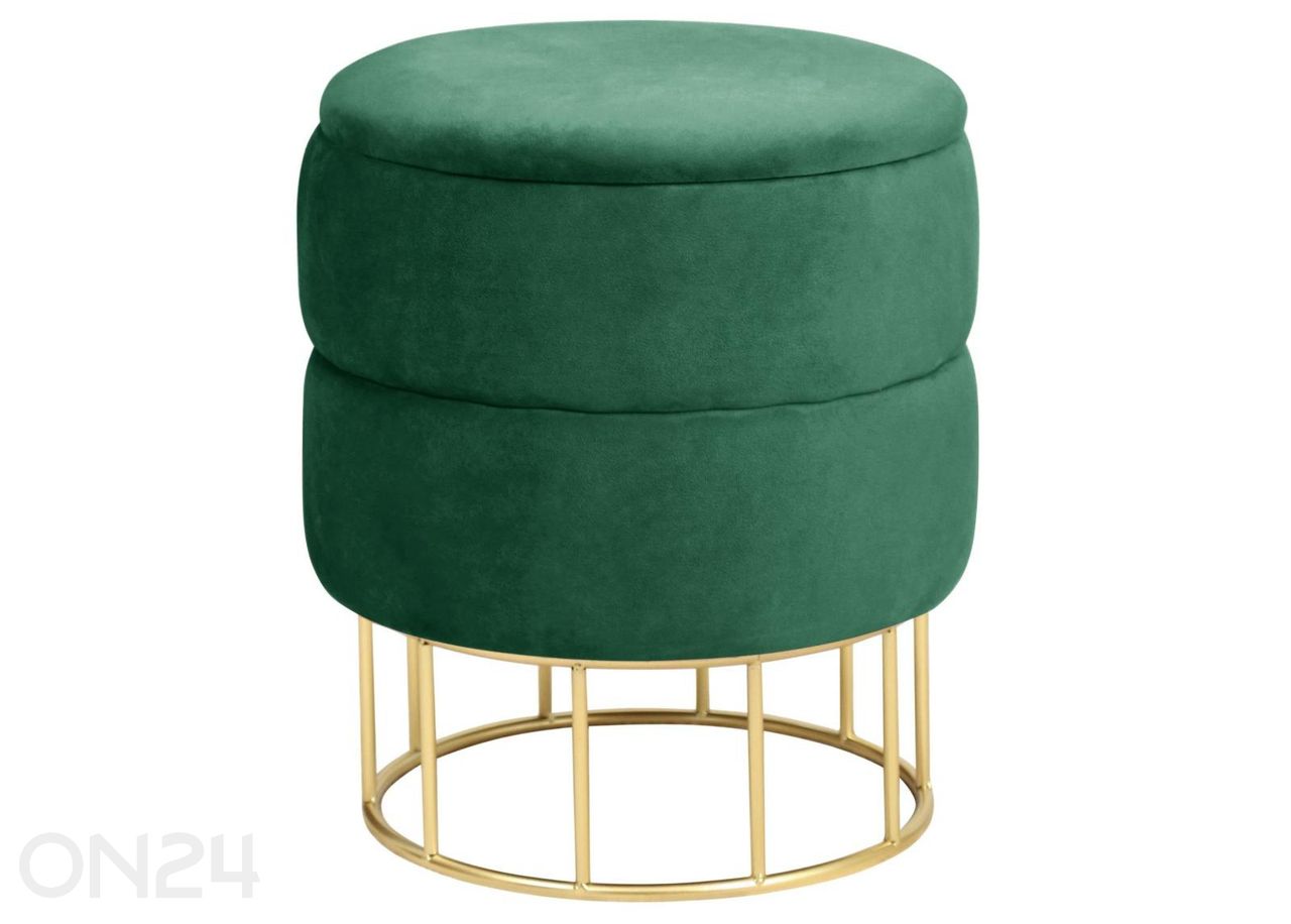 Rahi Elza kuvasuurennos