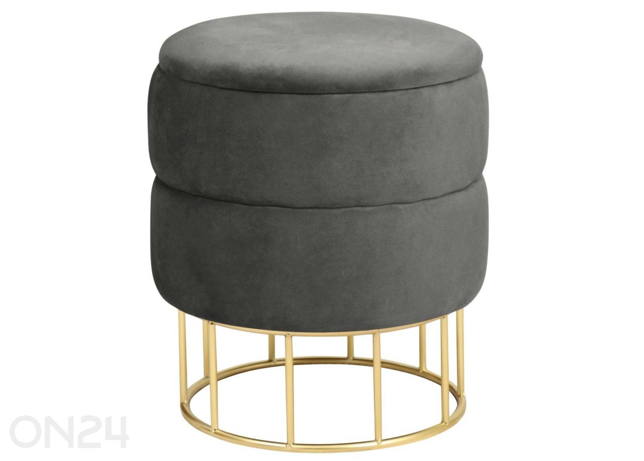 Rahi Elza kuvasuurennos