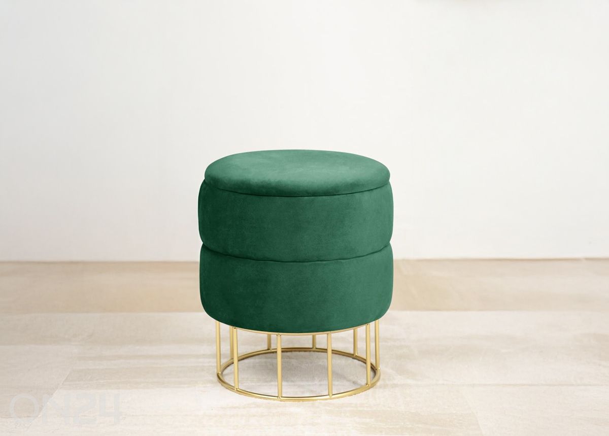 Rahi Elza kuvasuurennos