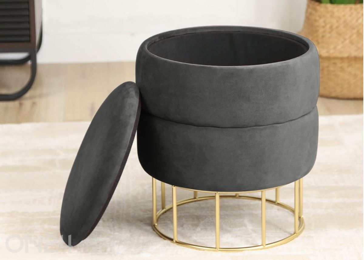 Rahi Elza kuvasuurennos