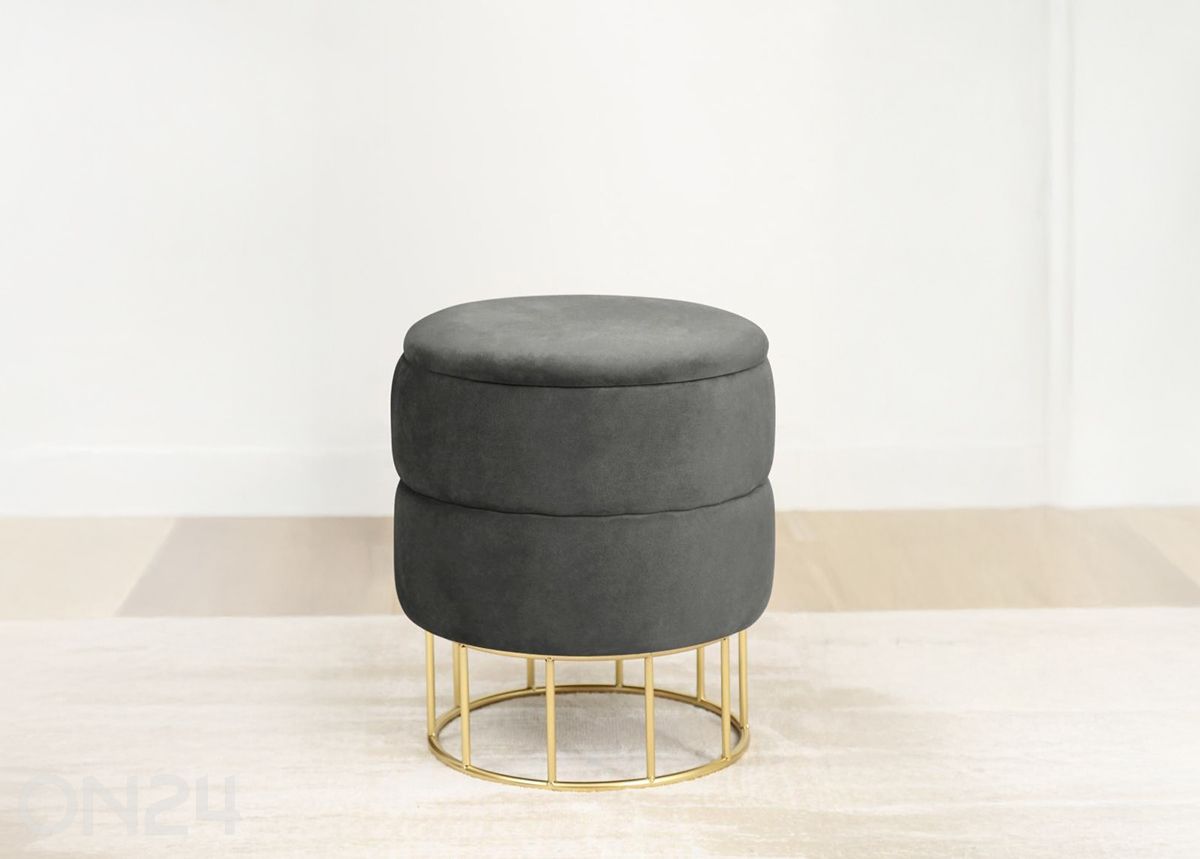 Rahi Elza kuvasuurennos