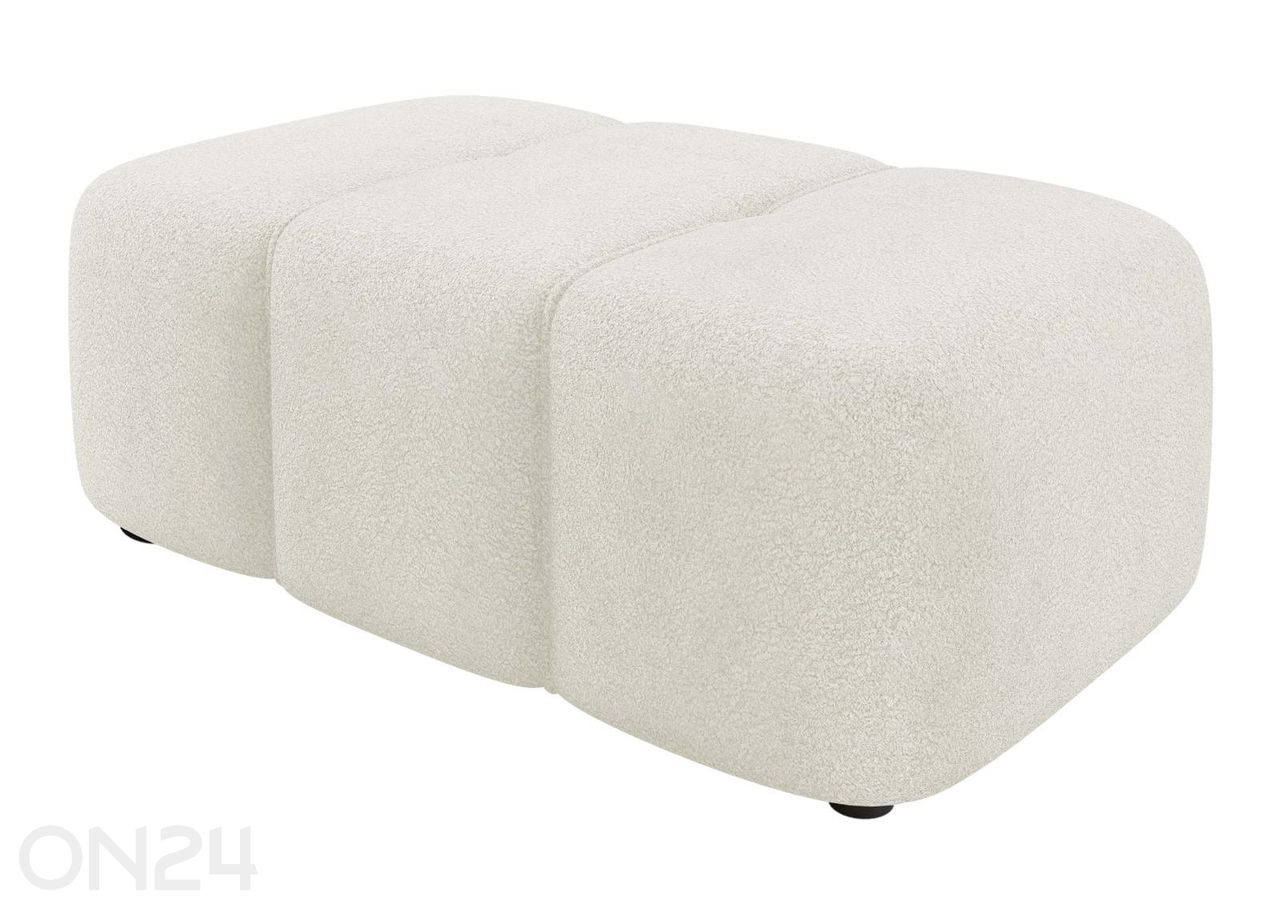 Rahi Furyn kuvasuurennos