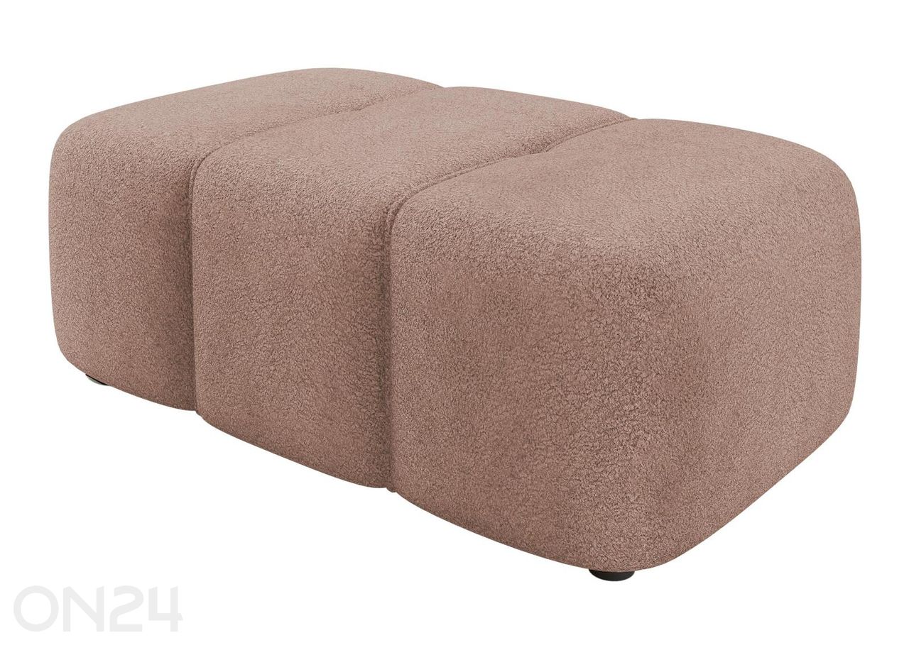 Rahi Furyn kuvasuurennos