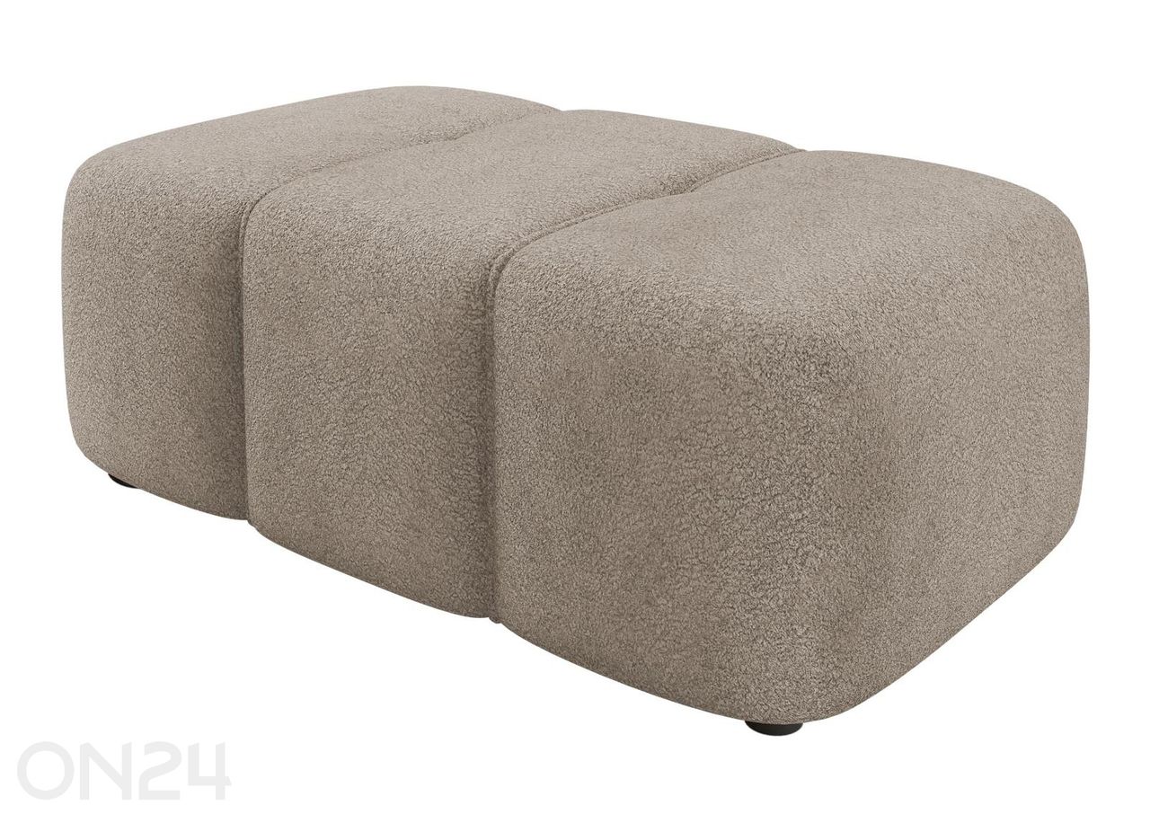 Rahi Furyn kuvasuurennos