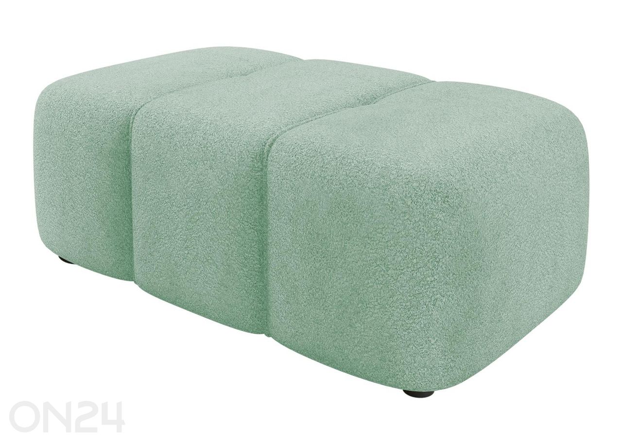 Rahi Furyn kuvasuurennos