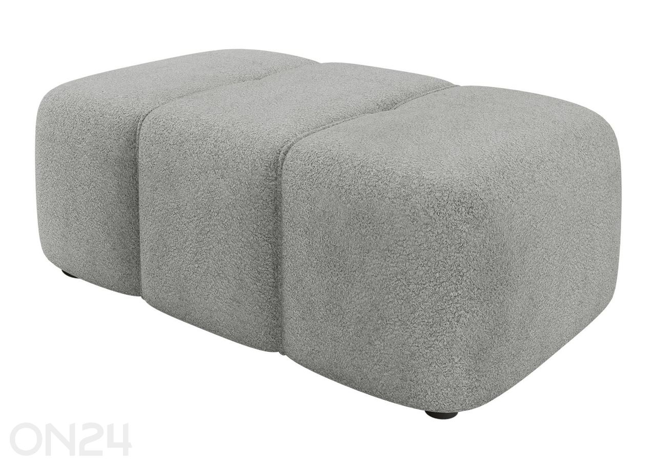 Rahi Furyn kuvasuurennos